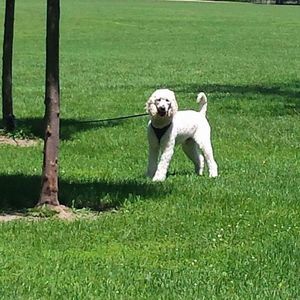 Meet your Posher, Mireya